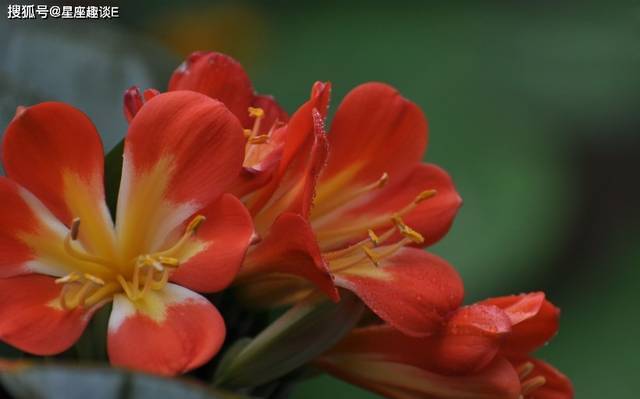 在9月上旬 情愫難斷 破鏡重圓 真情繼續的三大星座 連結筆記