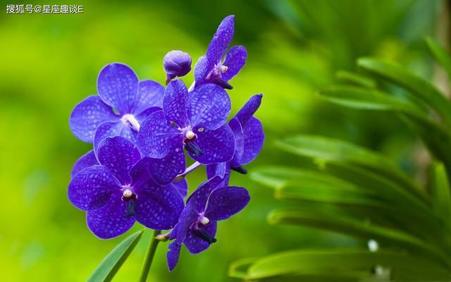 9月25日愛情運勢 配合默契 感情升溫的四大星座 連結筆記