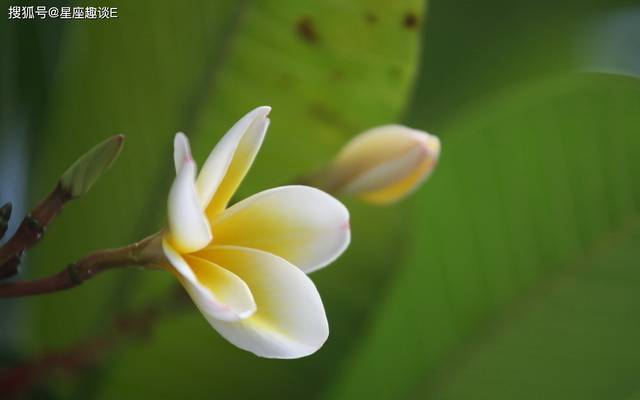 9月27日星座運勢 順勢而為 銳不可當的四大星座 連結筆記