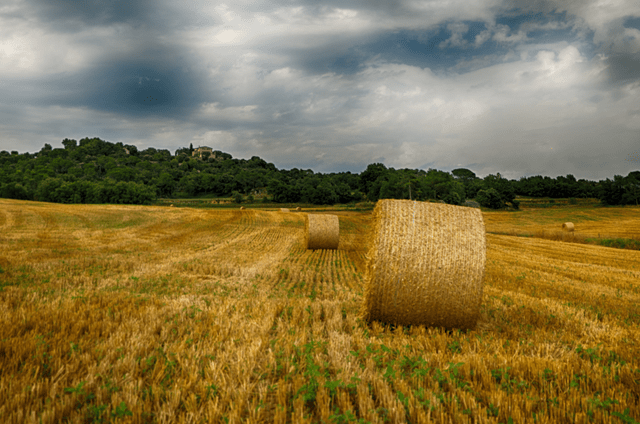 情緒控制能力最強的四個星座 連結筆記