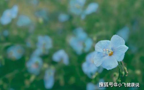 久處不厭 越相處越讓人珍惜 並且越處越喜歡的三個星座 連結筆記