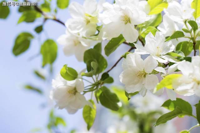 2月21日星座運勢 深思熟慮 漸入佳境的四大星座 連結筆記