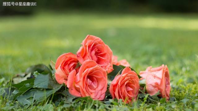 2月22日星座運勢 公私分明 充滿希冀的四大星座 連結筆記